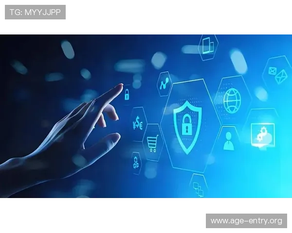 深入解析久发365登录的多重安全措施保障用户账户资金安全与个人信息隐私保护